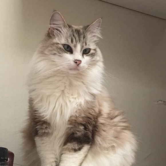 Meet your Posher, Star - Picture 4 of 16